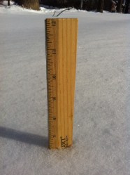 5 Inches Of Snow Fell On Long Island By Noon Monday