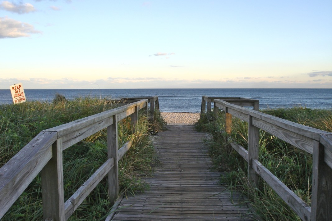 A Beginner’s Guide to Summer on Fire Island
