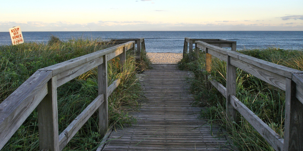 A Beginner S Guide To Summer On Fire Island