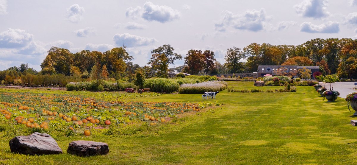 Heritage-Farm-Garden-Fall