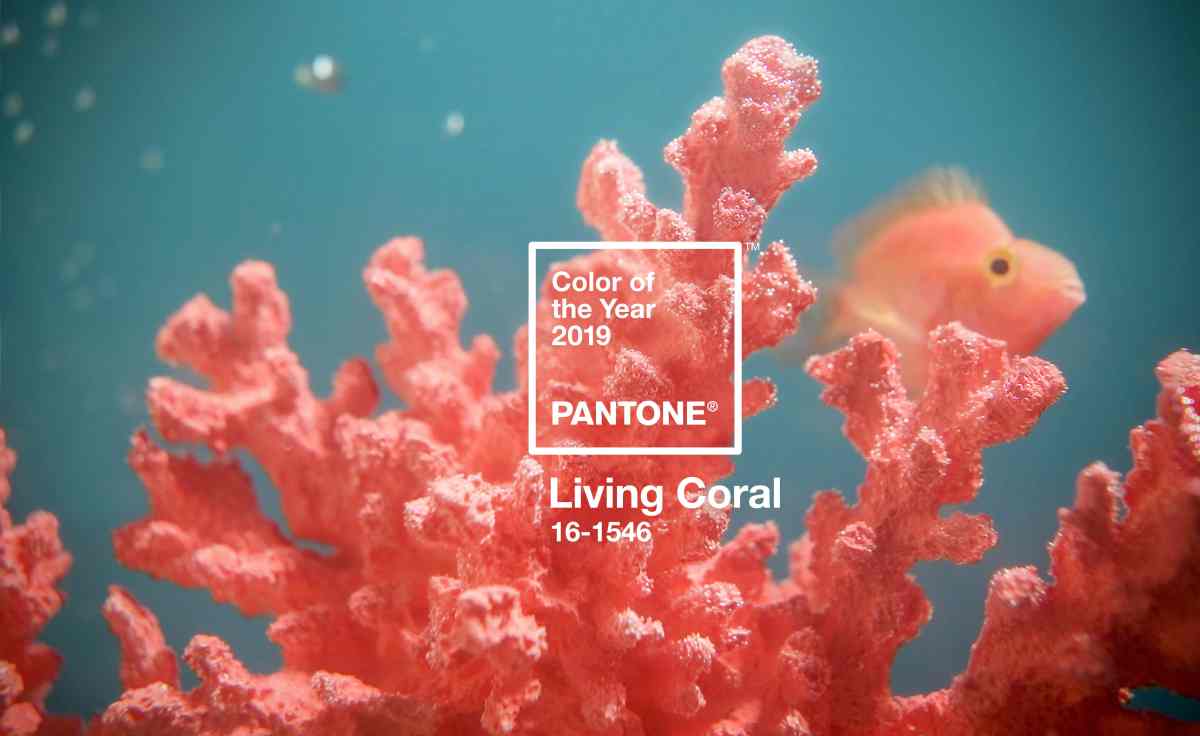 PantoneCOY2019_coral_bluegreen_SWATCH (1) (1)