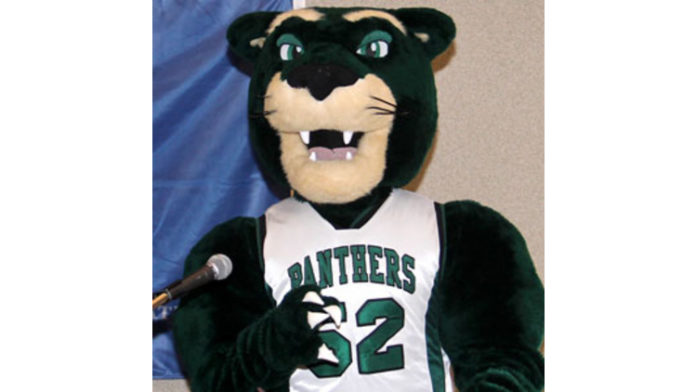 15 Mascots That Rally Long Island College Spirit