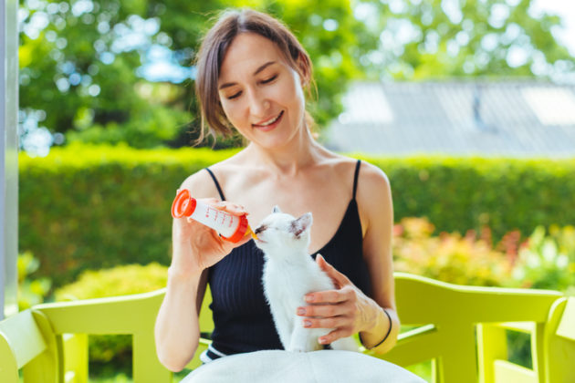 Helpful Tips For Finding The Perfect Pet Sitter