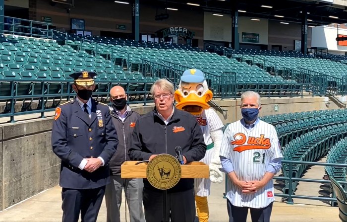 long island ducks