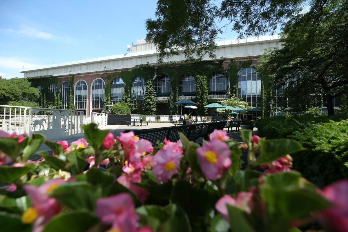 belmont stakes