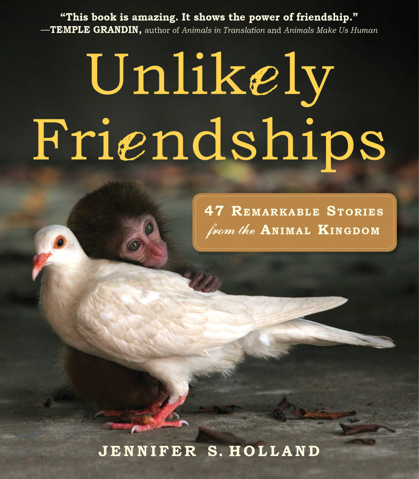 ‘Unlikely Friendships’ Author, Jennifer Holland Talks Amazing Animal