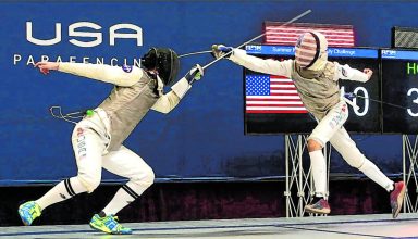 Hooshi fencing image 1