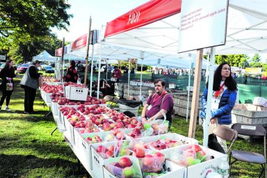 NS_applefest_101922_A-768×512