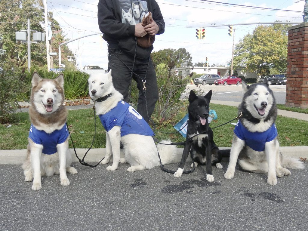 Barktoberfest_103114A