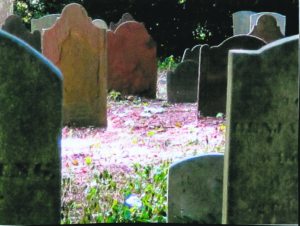 Monfort Cemetery (Photo by Daniel Case) 