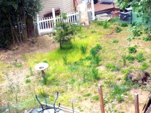 Allen family burial ground behind a home in Great Neck Plaza