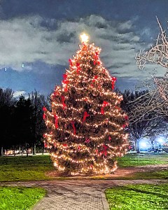 ChristmasTreeLighting A