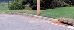 The storm drain near the Allenwood Park duck pond, where at least one duck was dragged down the drain by a raccoon.