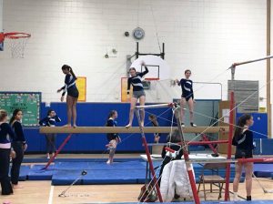 Gymnastics011316C