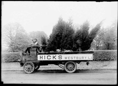 History__Hicks__A