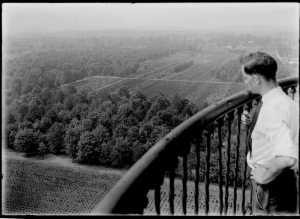 Westbury and Hicks Nurseries had a very different landscape in 1925. 