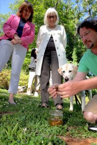 Parks Commissioner Jill Weber, Supervisor Judi Bosworth and NHTV host Ranger Eric Powers look at a sample of a brown bat.