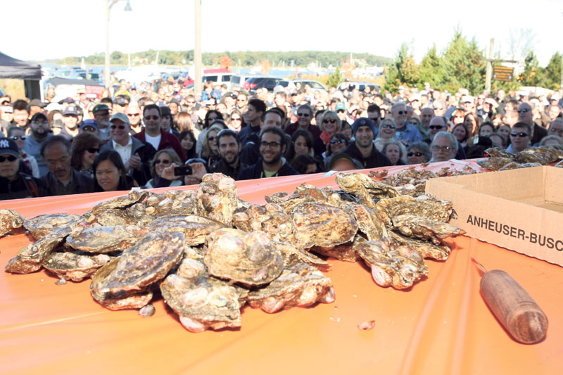 OF ShuckingContest 101415A