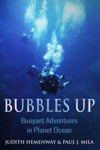 Bubbles Up is Paul Mila’s latest book and first foray into nonfiction.