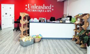 Pet Spa A 1024x623 1