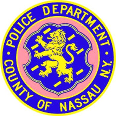 Police logo for assault story