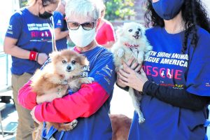 Puppies B 1024x683 1