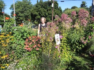 Beth Ricciardi  in St. Peter’s  School gardens