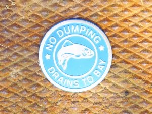 Some of the town’s storm drains are marked with a stainless steel medallion to serve as a reminder that only rain should go down the drain. 