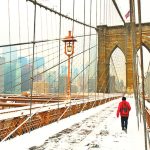 Trapani Brooklyn Bridge C. Young 1024x682 1