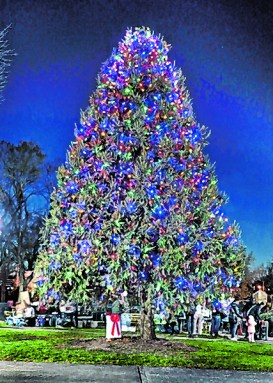 Christmas Tree Lighting / Davies Green_TONH