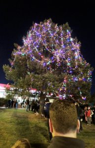 TreeLighting_121214A