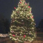 Treelighting120716E 768x1024 1