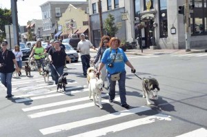 The walk on Sept. 17 will raise money for the Leukemia and Lymphoma Society.