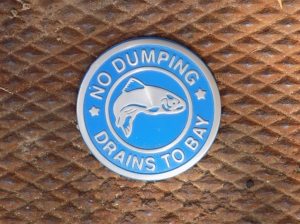 Some of the town’s storm drains are marked with this stainless steel medallion to serve as a reminder that only rain should go down the drain.