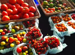 farmers-markets-on-long-island-fresh-local-food-for-your-family