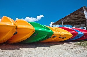 kayaks