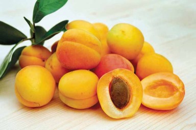 Apricot_A