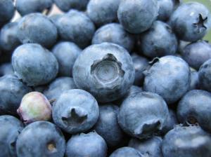 Column.Mulberries 061121.Blueberries web