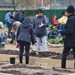 CommunityGarden D