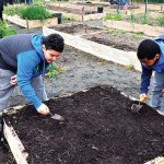 CommunityGarden E