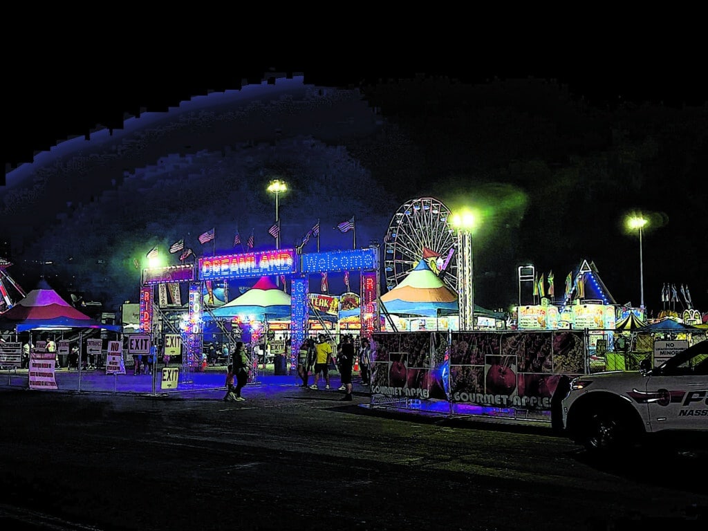 Empire State Fair image 2