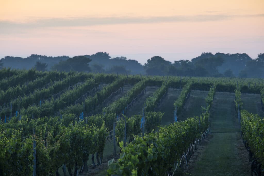 Even More Landscape at Dusk 1024x683 1