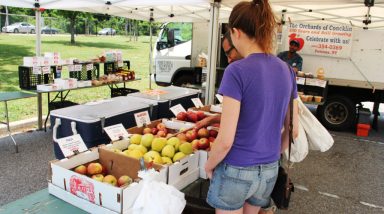 FarmersMarket-Apples-byAlexNunez