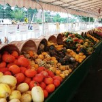 FarmersMarket squash