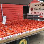 FarmersMarket tomatoes