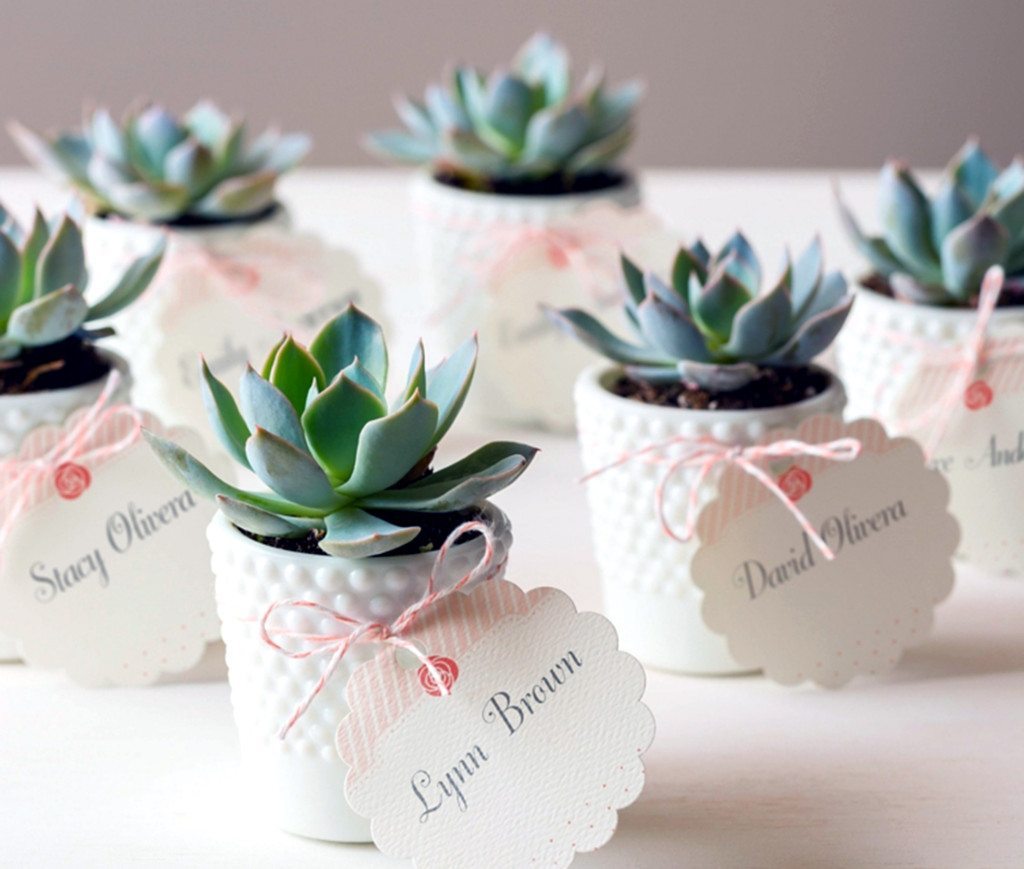 Favors_Plants