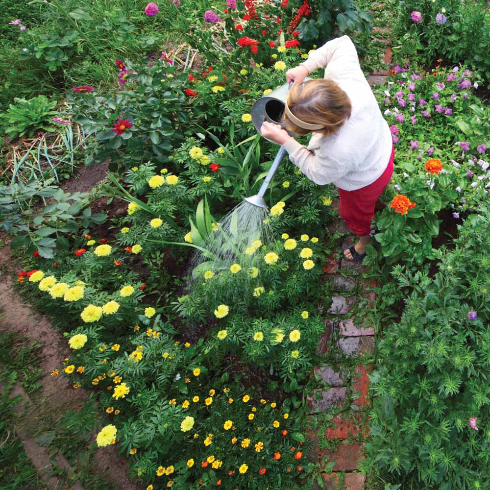 Gardening_A