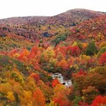 Graveyard Fields 1