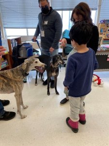 HIX.TherapyDogs 030422C