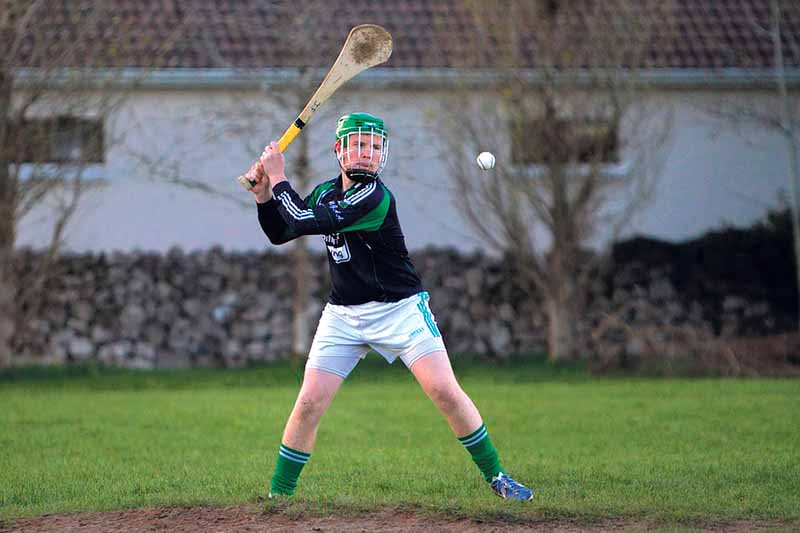 Hurling_LiamMellows